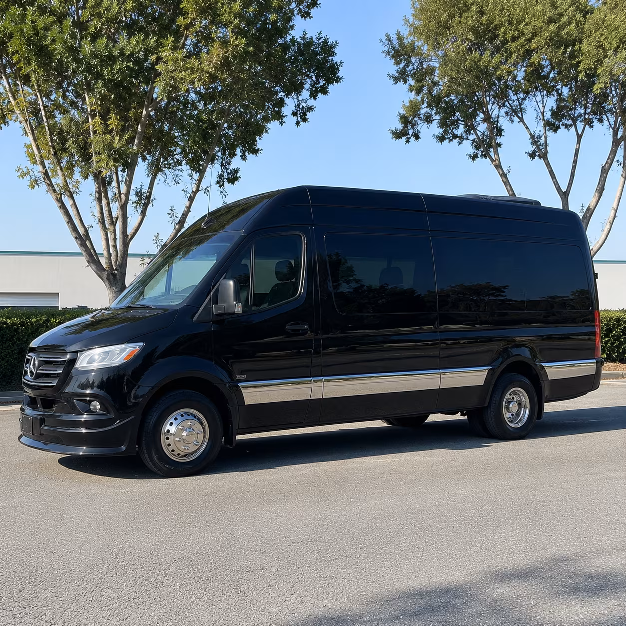 15 passenger sprinter van